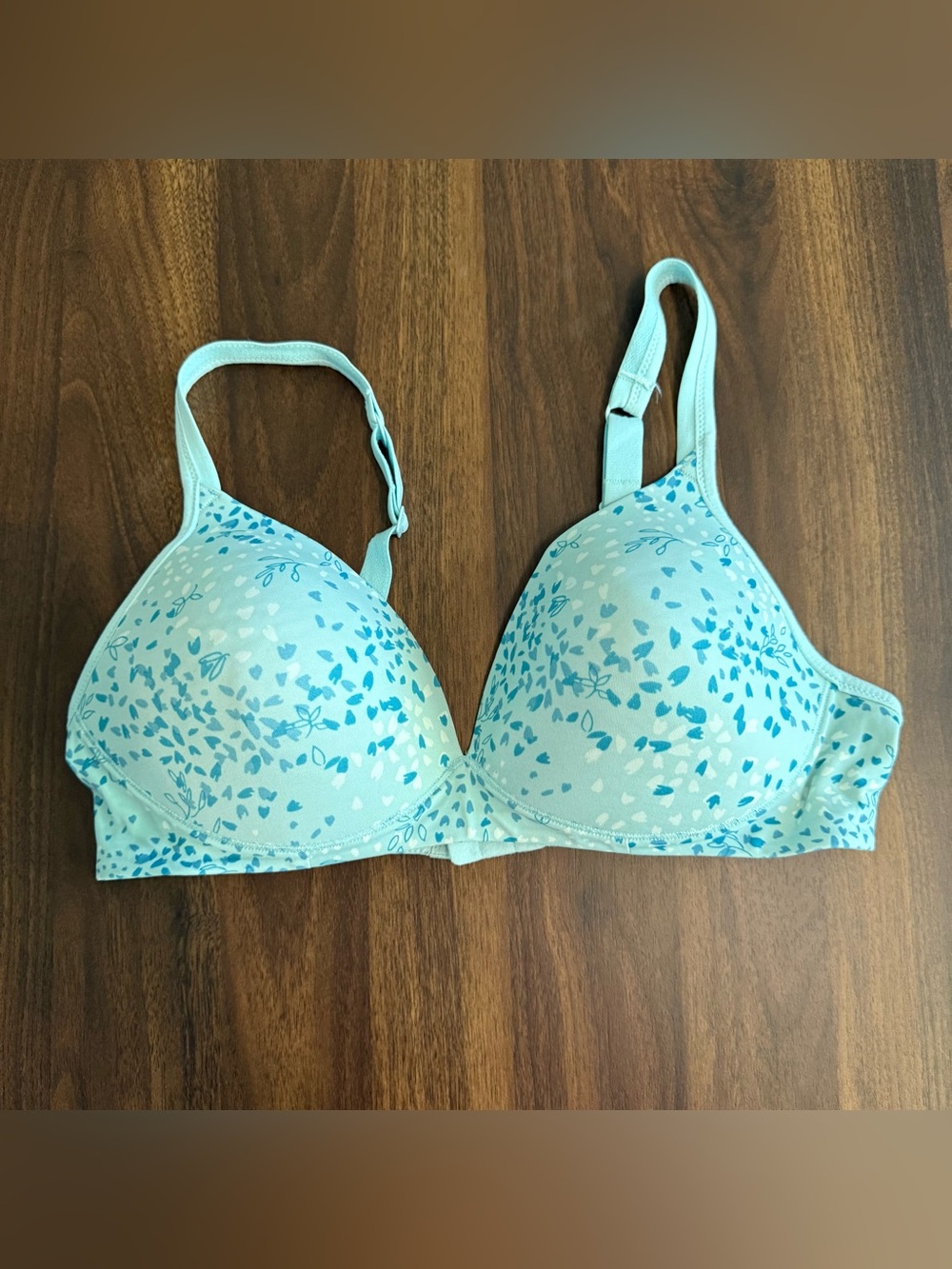 Warner’s bra